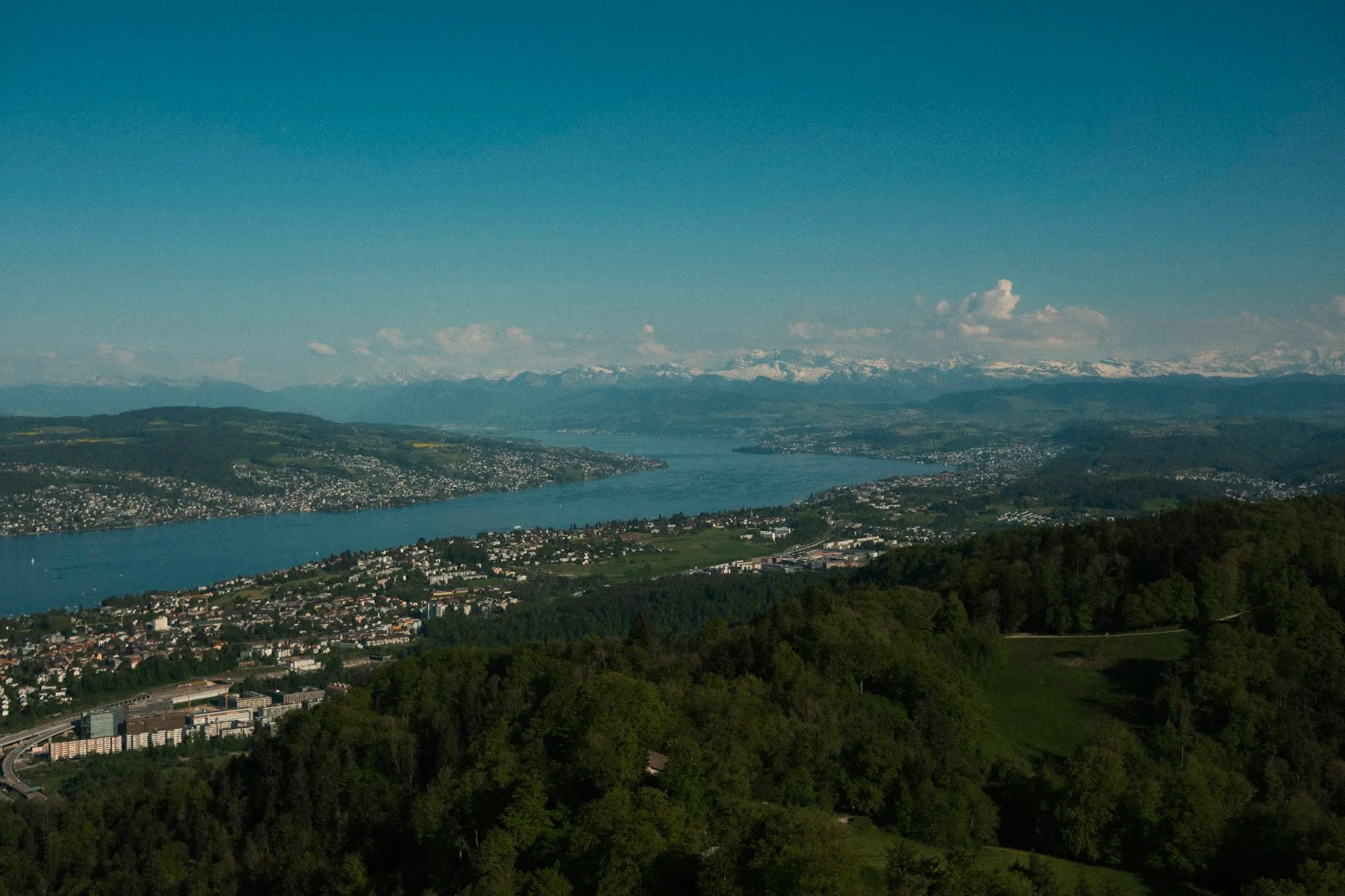 Panorama vanaf de Uetliberg over de Zürichsee met besneeuwde Alpen op de achtergrond