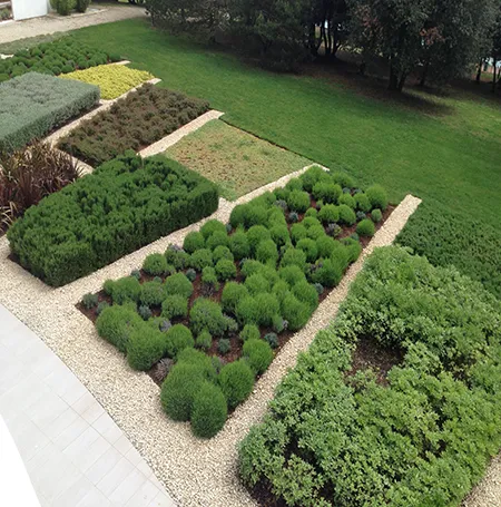 Tuin