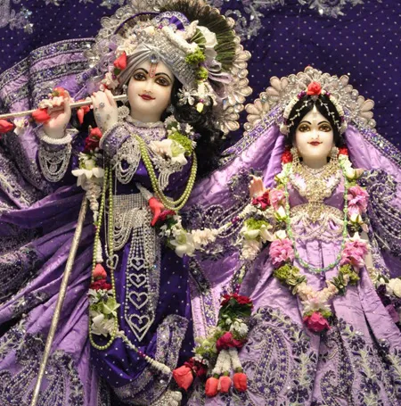 Radhadesh